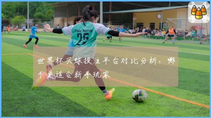 世界杯买球投注平台对比分析，哪个更适合新手玩家