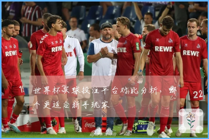 世界杯买球投注平台对比分析，哪个更适合新手玩家
