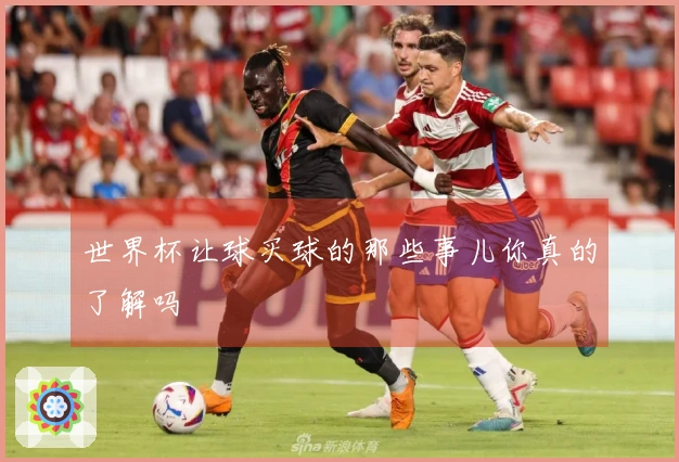 世界杯让球买球的那些事儿你真的了解吗