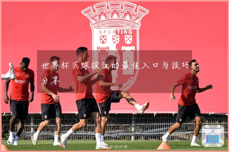 世界杯买球投注的最佳入口与技巧分享