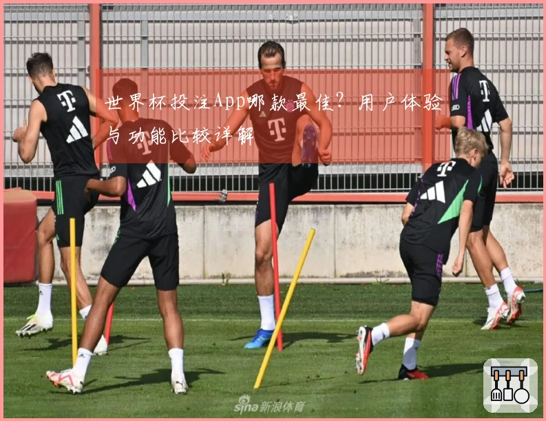 世界杯投注App哪款最佳？用户体验与功能比较详解