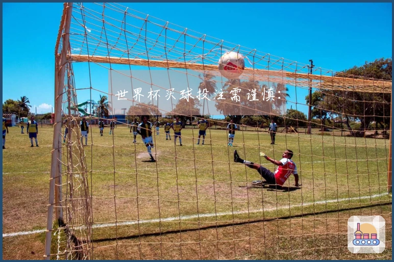 世界杯买球投注需谨慎：