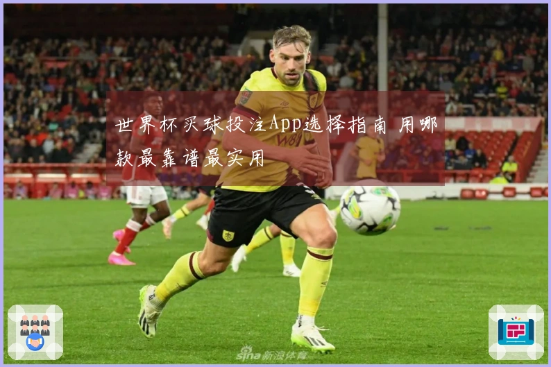 世界杯买球投注App选择指南 用哪款最靠谱最实用