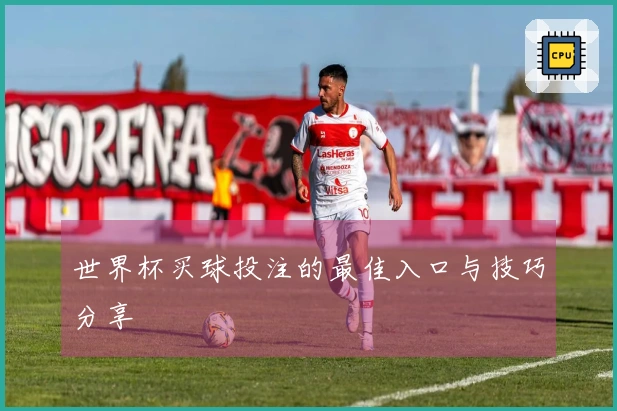 世界杯买球投注的最佳入口与技巧分享